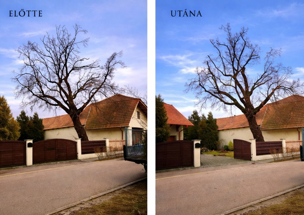 Faápolás és koronaalakítás családi ház előtt, előtte és utána állapot Bicskén