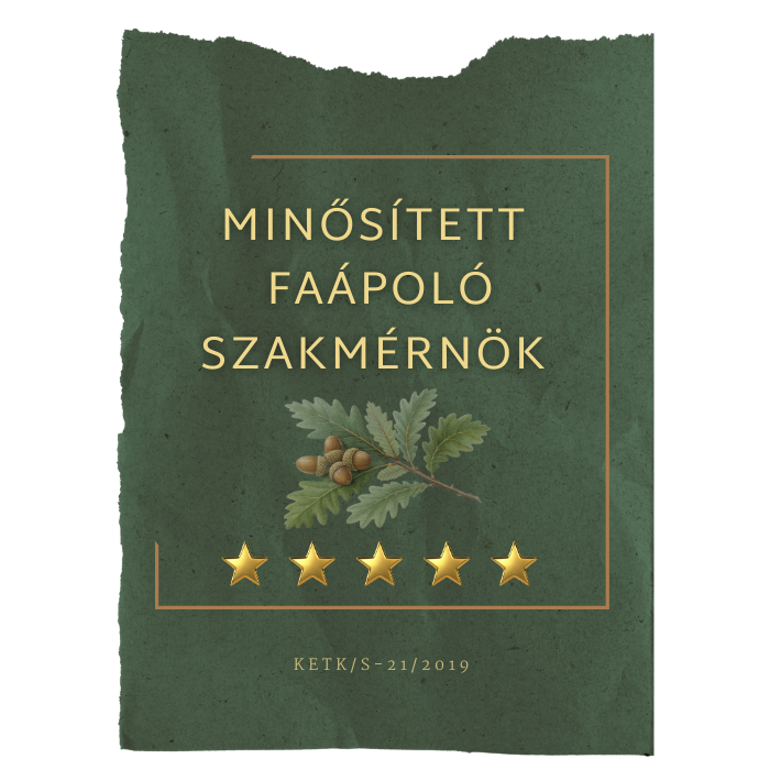 faápoló szakmérnök