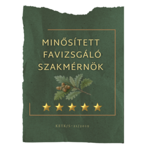 favizsgáló szakmérnök