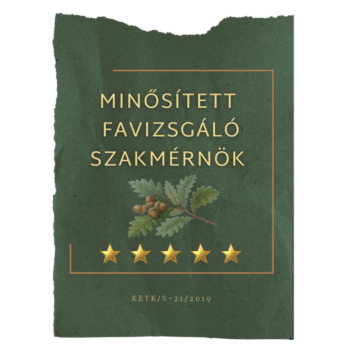 favizsgáló szakmérnök