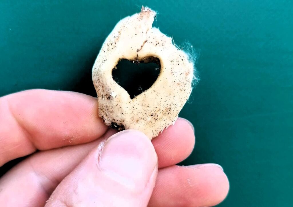 Szív alakú üreggel rendelkező fadarab közelről, kézben tartva